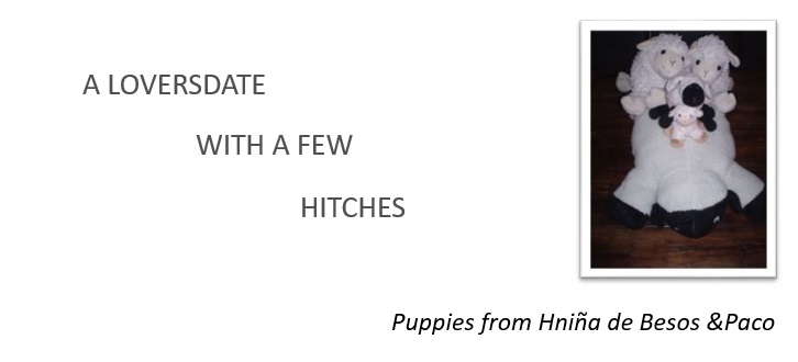 Puppies from Djaya oktober 2024