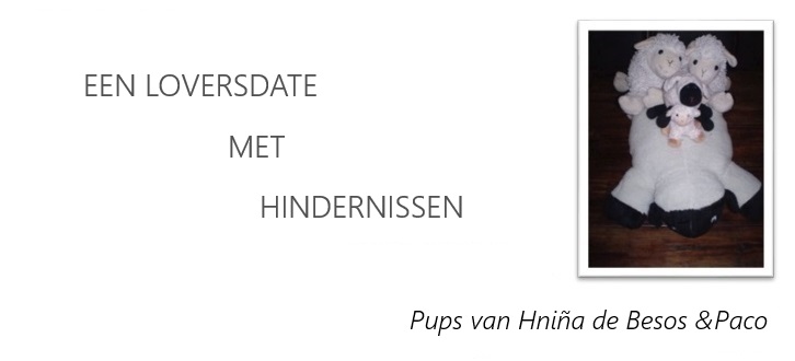 c-nestje embleem NL Puppies Djaya oktober 2024
