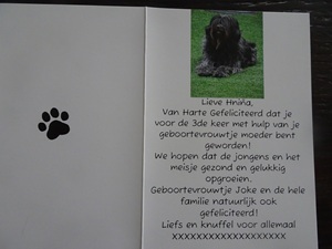 samen verjaardagstaart eten
