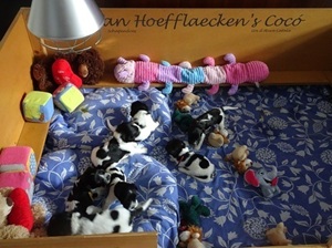 samen verjaardagstaart eten