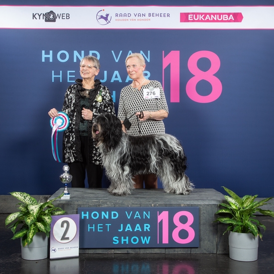 Res Winner Nederlandse Rassen Hind van het Jaar-show 2018