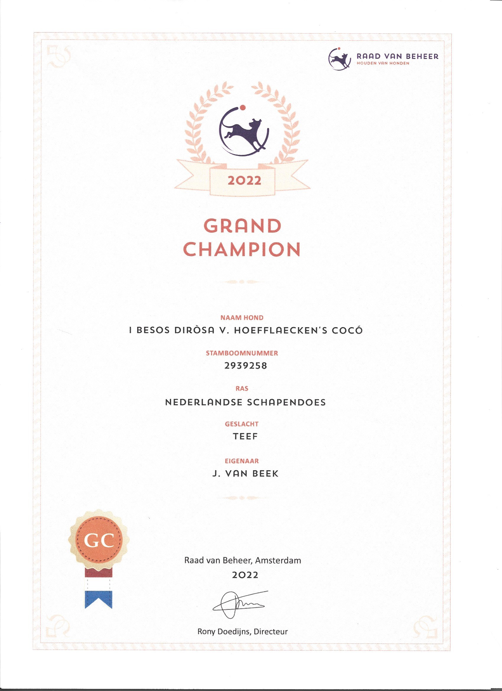 Ch Netherlands - Grand Champion